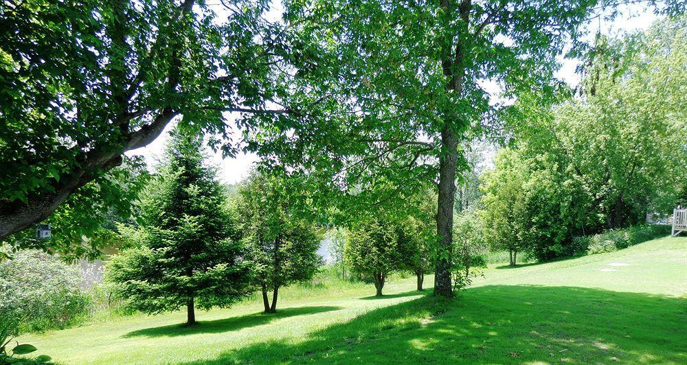 Motel Des Deux Lacs Waterloo Zewnętrze zdjęcie